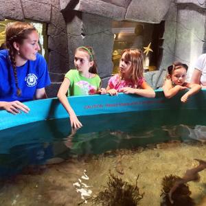 Meghan Smith teaches visitors at the aquarium the correct way to touch a shark – with two fingers. SUZI THAYER/Boothbay Register