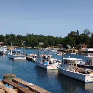 Busy docks at Robinson’s Wharf on a typical summer day. JANE CARPENTER/Boothbay Register