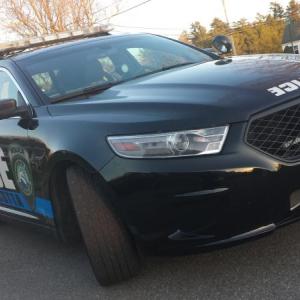 Damariscotta Police Officer Kyle Sylvester had an unusual run-in Saturday, Aug. 2. File photo