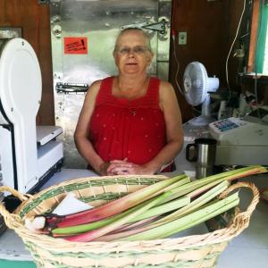 Renie Lowell at her daughter’s newly reopened Cunningham Farm Stand on Route 27 in Boothbay. SUZI THAYER/Boothbay Register