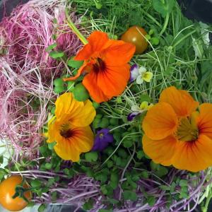 One of Lisa Evans’ and Tim Smith’s products is this microgreen and edible flower salad. Healthful and beautiful! SUZI THAYER/Boothbay Register