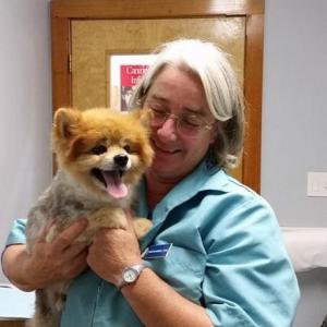 Veterinarian and co-owner Dr. Kristen Mugnai with Coty, a patient owned by Dottie Ross. Courtesy of Coastal Veterinary Care