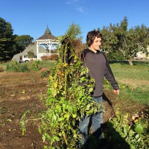 Freshman Brett Hollowell holds up one of the plants he helped haul out of the garden. KATRINA CLARK/Boothbay Register