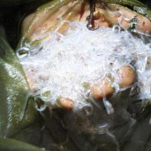 Elvers. File photo
