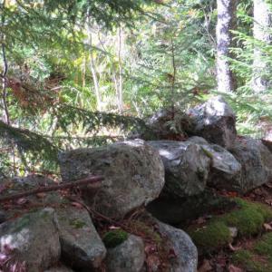 Stone walls are among the many inviting features of DRA’s new Rutherford Island Preserve trail in South Bristol. Courtesy photo