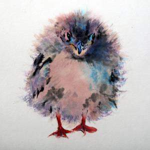 Watercolorist Jean Kigel’s “Arctic Tern Chick,” is one of her works in the Nov. 4-28 exhibit at the Boothbay Memorial Library. Courtesy of Caroline Roberts Jean Kigel