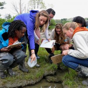 Students at the Coastal Studies for Girls (CSG) in Freeport work in the field on a science project. Courtesy photo