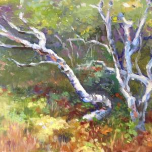 “Birch Weavings,” Alice Wheatland Ingraham’s 11” x 14” oil on wood, is one of the artist’s works in the River Arts West Gallery show running through Dec. 2. Courtesy of Linda Morkeski Alice Wheatland Ingraham