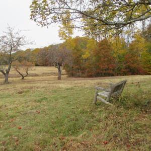 Singing Meadows