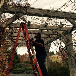 Andy Wooster, of Southport, strings lights for Gardens Aglow. (Photo by Lynda Clancy)
