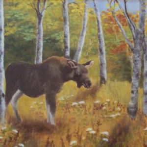 This Maine nature scene and others may be viewed in Cecile Clifford’s show in the Miles Memorial Hospital Hall Gallery late Nov. through New Year’s Day. Courtesy photo