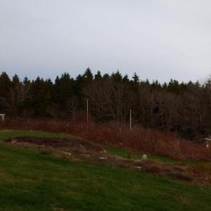 Lepper Gardner property at Hendricks Head Beach, Southport. JANE CARPENTER/Boothbay Register
