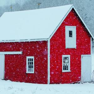 “Red Barn Flurries” is one of the eight photos in Bob Mitchell’s new boxed set of winter themed note/holiday greeting cards. Robert Mitchell Photography “Red Barn Flurries” Robert Mitchell Photography