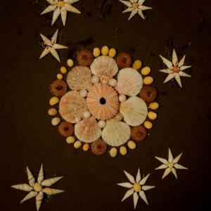 Shell Flowers by Heather Sprague