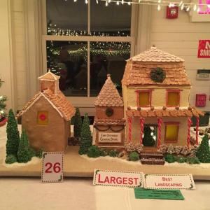 Largest, Best Landscaping 2015