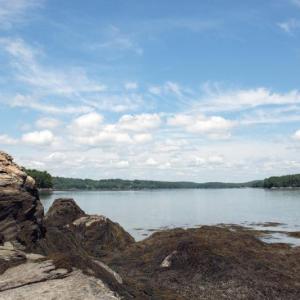 Learn about recent regional water quality trends, including ocean acidification, at MCOA’s Jan. 14 presentation. Courtesy of Damariscotta River Association