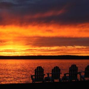 Last Light of Summer - Pamela Logan