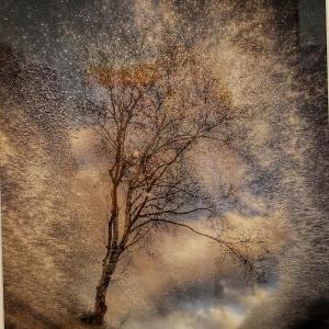 Winter Road, Kerry Michaels of Freeport