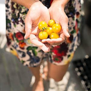 Garden to table. Courtesy of Jacinda Martinez