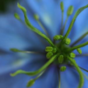 Lisa Mossel Vietze’s “Arms of the Ocean” is one of the photographer’s images in a show with Mary Anne Carey at Damariscotta River Grill in May. Courtesy of Kim Traina Lisa Mossel Vietze “Arms of the Ocean”