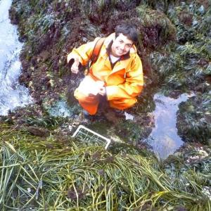 Dr. Scott Morello of the Darling Marine Center. Courtesy photo