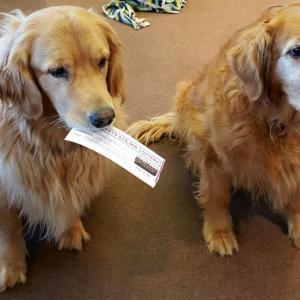 The first Y-Arts $10,000 Lottery ticket stub, displayed by Peter Hawke (that's Perry sitting next to him thinking ‘I could have done it better’). The ticket was purchased by their “mom,” Stephanie Hawke for Rebuilding Together. Courtesy of Julie Roberts Peter & Perry Hawke Boothbay Hbr ME