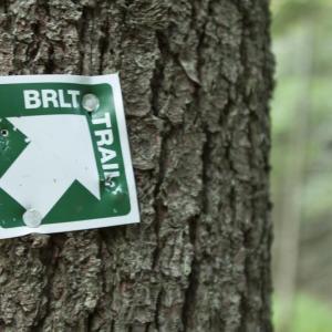 A Boothbay Region Land Trust trail marker. Courtesy photo