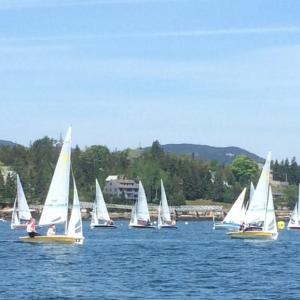 The Boothbay region High School Sailing Team finished its second year with a seventh place finish at the Great Harbor Regatta at MDI. Courtesy photo
