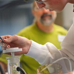 A former BLOOM student conducts experiment under director of a Bigelow scientist. Courtesy of Bigelow Laboratory for Ocean Sciences