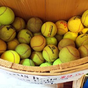 These balls aren't for playing tennis. They go to the dogs. SUZI THAYER/Boothbay Register