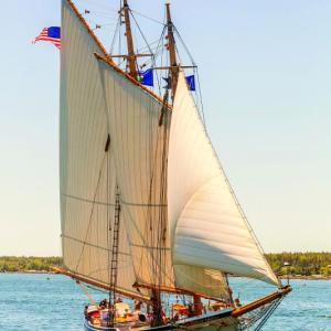 The American Eagle sails into the harbor during the 2015 Windjammer Days event. Courtesy of Michael Leonard