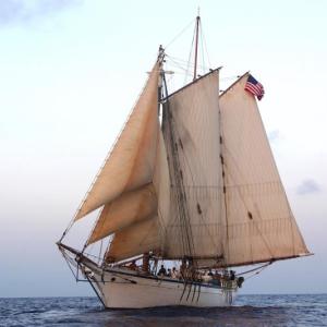 Schooner Harvey Gamage