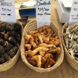 Morel, chanterelle and honshimiji mushrooms are just a few of the varieties offered by Oyster Creek Mushroom Company. SUZI THAYER/Boothbay Register