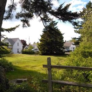 Future parking area at Cozy Harbor. JANE CARPENTER/Boothbay/Register
