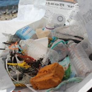Come hear about the harmful effects of plastics discarded in our oceans on July 22 at Linekin Bay Resort. The talk is free. Courtesy photo