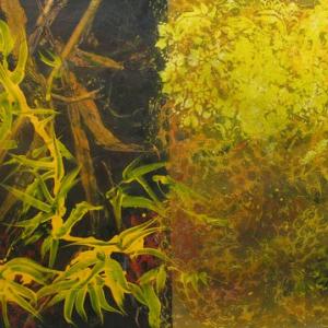 Maine artist Ed McCartan