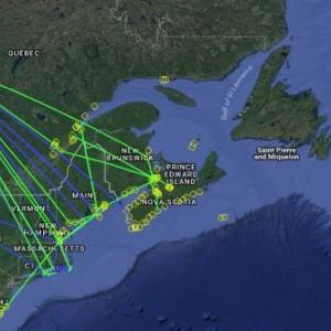 bird migration, nanotags