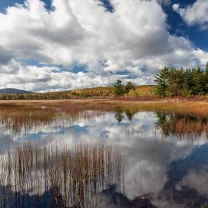 Ronald Wilson’s “Duck Brook” photograph is included in his show at The Heywood Gallery in Waldoboro. Courtesy of the venue