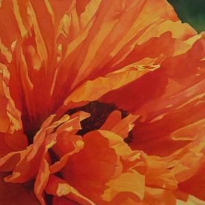 Poppy by Joy Linder