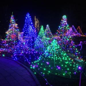 The Gardens Aglow preview event was magical. SUZI THAYER/Boothbay Register