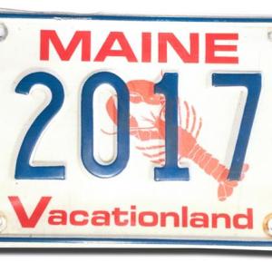 Happy New Year ... from 1995! Dave and Jeannie Godfrey have waited over 20 years to use this photo of their former license plate on the cover of their Happy New Year cards. Inside, the card reads: “Have been waiting a long time to make this card. If we hadn’t moved to Florida in 1995, we would now have the current year on our license plate. Dave and Jeannie.” Courtesy photo