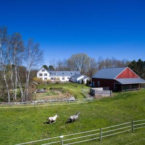 A four-acre farm is the setting for the school, Loaves and Fishers, on Spruce Lane in Waldoboro. Courtesy of Isabella Mastroianni