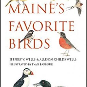 birds, maine, Jeff Wells, Allison Wells, Jeff and Allison Wells, Maine
