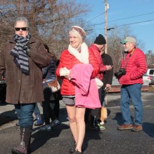 Penguin Plunge 2017