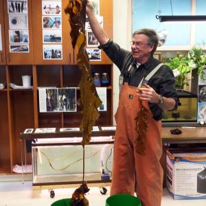 Seth Barker holds up a long piece of sugar kelp at Edgecomb Eddy School, where he gave a presentation on seaweed in Jan. 10. SUZI THAYER/Boothbay Register