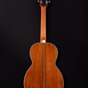 Big Wave parlor guitar