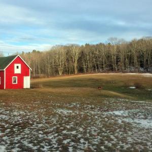 A small red barn lights up an otherwise drab landscape. SUZI THAYER/Boothbay Register