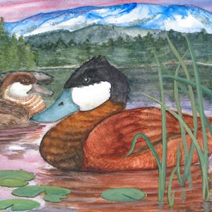 The 2016 Best of Show in Maine by Noel Stormann, 13, with his watercolor of ruddy ducks.