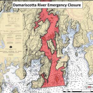 Targeted area in the Damariscotta River. Courtesy of Maine DMR