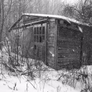 The abandoned shed a stray cat has been calling home for at least two years. SUZI THAYER/Boothbay Register